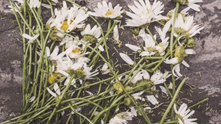 23 Martie: O zi cu ghinion în istorie?