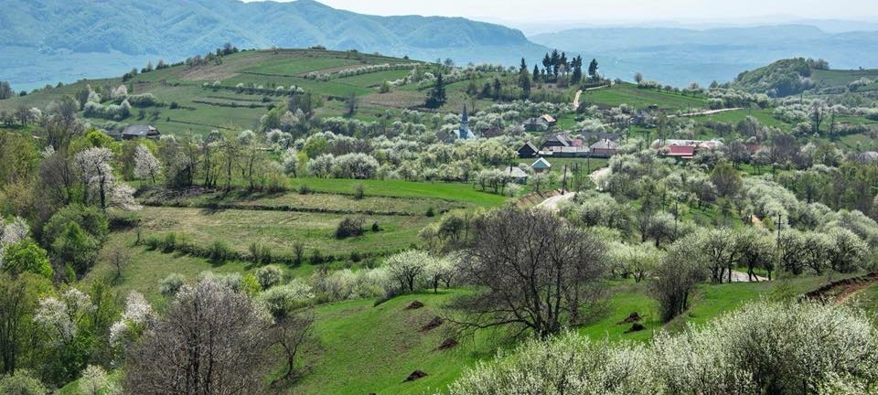 „Jocul cu Coșarca” la Preluca Veche: Tradiție, muzică și voie bună în a doua zi de Paști