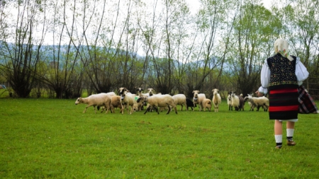 Sfântul Gheorghe – Sângiorzul: „străjer al timpului”, deschizător al Anului Nou Pastoral