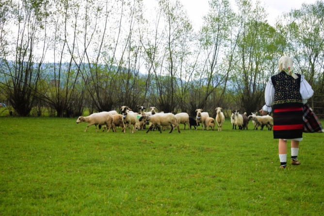 Sfântul Gheorghe – Sângiorzul: „străjer al timpului”, deschizător al Anului Nou Pastoral