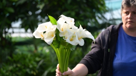 Serviciul Public Ambient Urban Baia Mare și-a inaugurat cea de-a doua florărie din municipiu