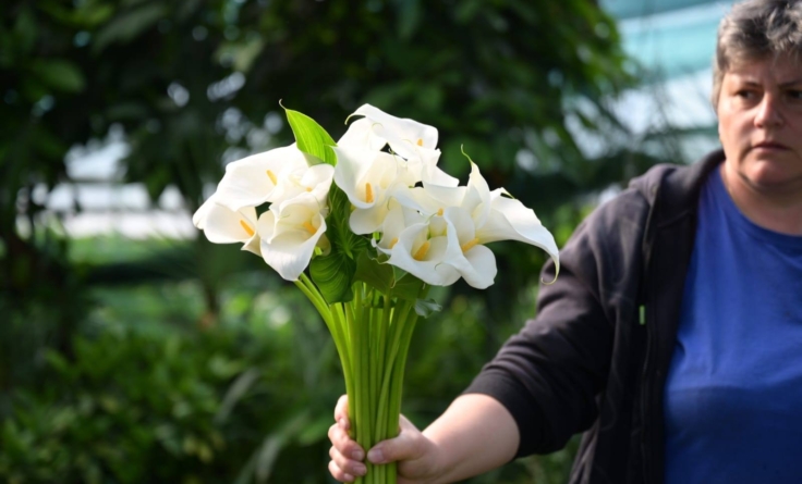 Serviciul Public Ambient Urban Baia Mare și-a inaugurat cea de-a doua florărie din municipiu