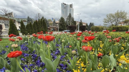 Prognoza meteo pentru Maramureș – marți, 3 iunie 2025