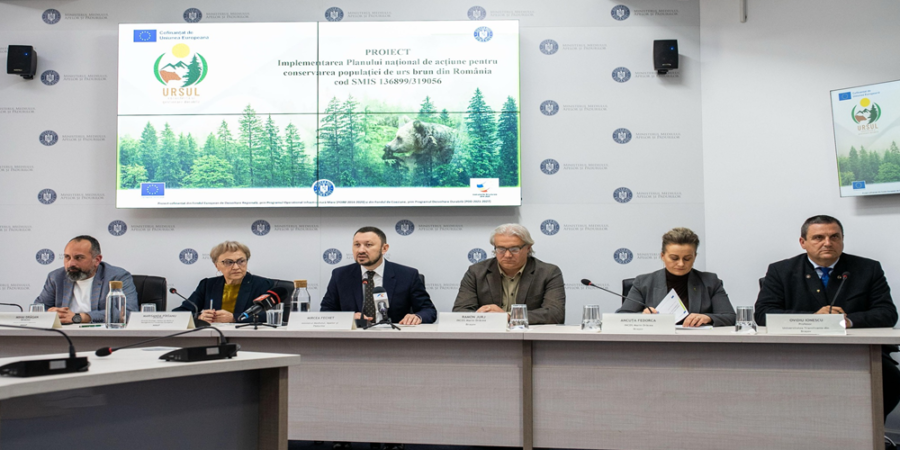 Ursul și primarul – o poveste românească despre frică, putere și decizie