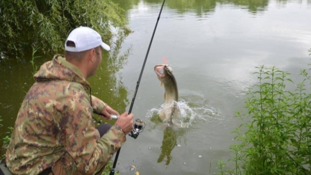 Pescarii trebuie să-și pună undițele în cui