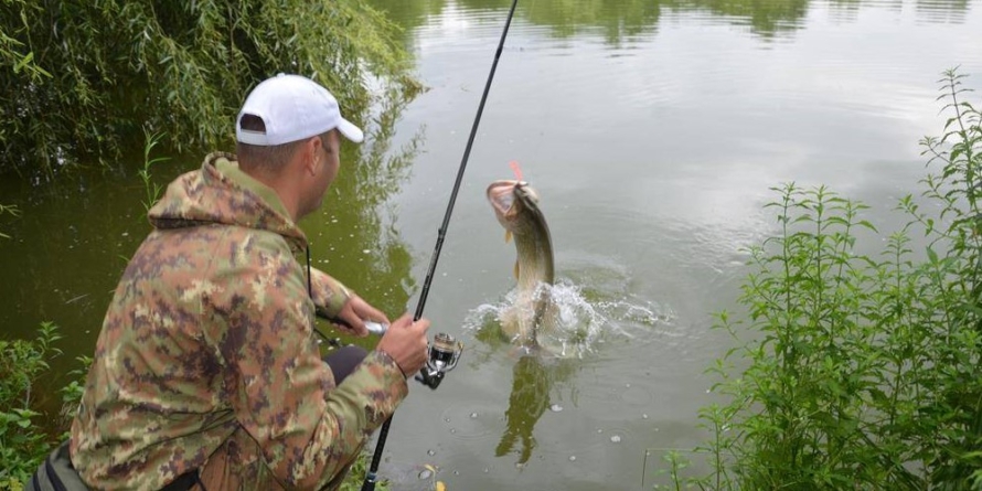 Pescarii trebuie să-și pună undițele în cui