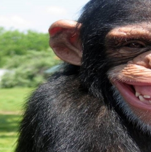 Când judecătorii fac politică și politicienii se cred judecători