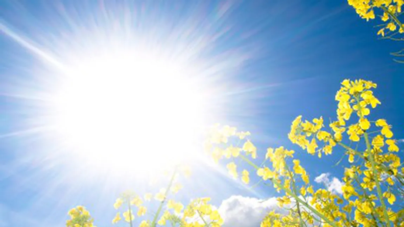 Cod galben anunțat pentru joi în Maramureș