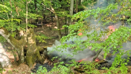 Incendiu în comuna Lăpuș