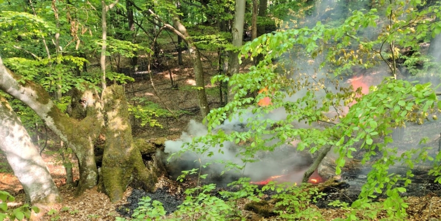 Incendiu în comuna Lăpuș