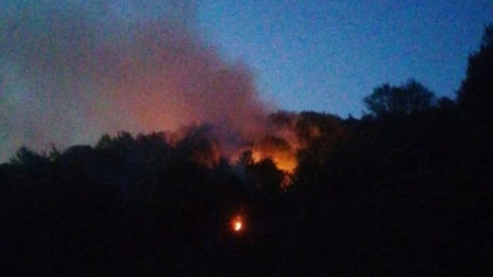 Incendiu de vegetație uscată într-o zonă cu acces dificil