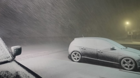 Ninsori de aprilie în Maramureș | video