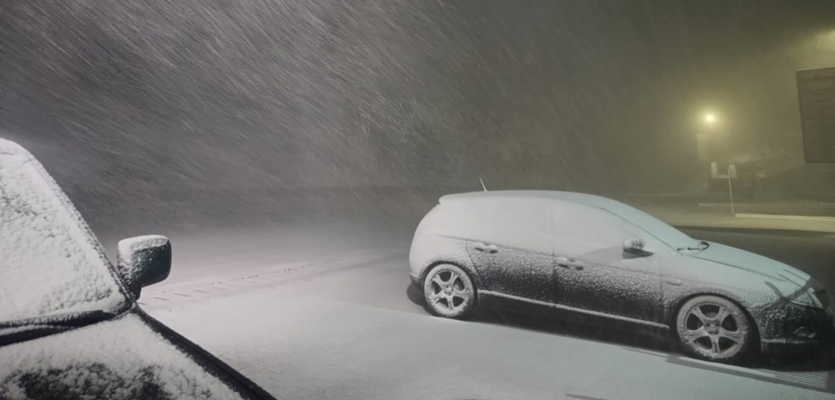 Ninsori de aprilie în Maramureș | video