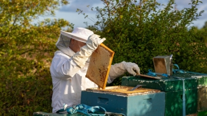 Apicultorul trebuie să plătească taxe?