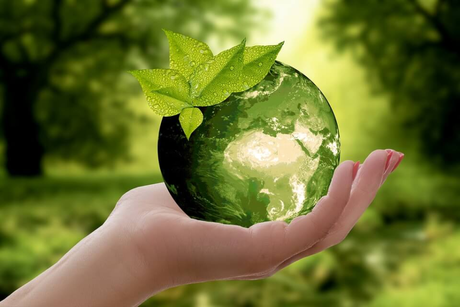 Investiția care poate salva România de la dezastrul ecologic