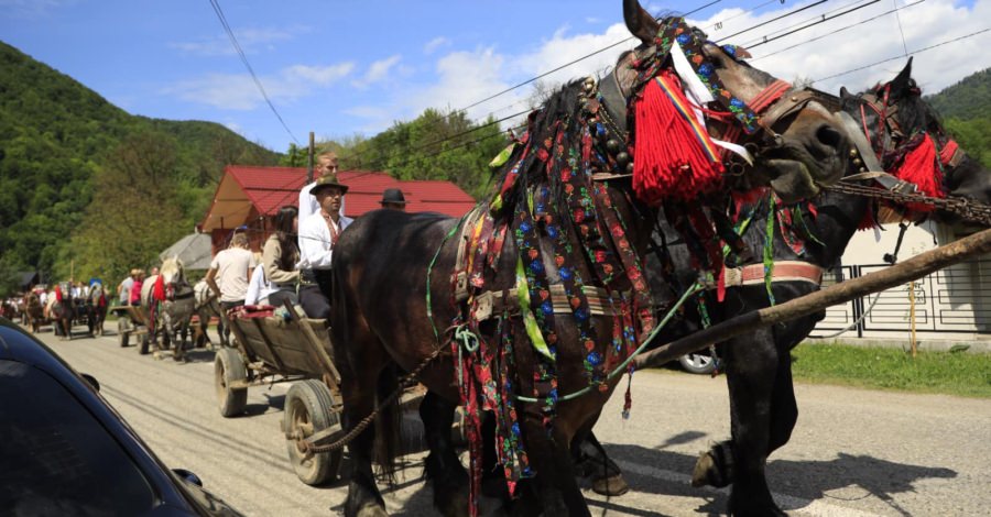 În Bistra are loc Festivalul obiceiurilor pastorale de primăvară „Mira la Huțuli”, ediția XXIV