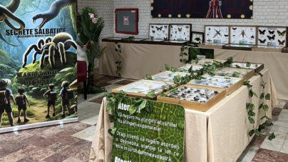 Expoziție de tarantule și secrete sălbatice la Centrul Cultural „Titiana Mihali” din Borșa