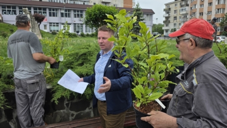 Baia Sprie: 140 de arbori și arbuști plantați pentru un oraș mai verde