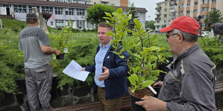 Baia Sprie: 140 de arbori și arbuști plantați pentru un oraș mai verde