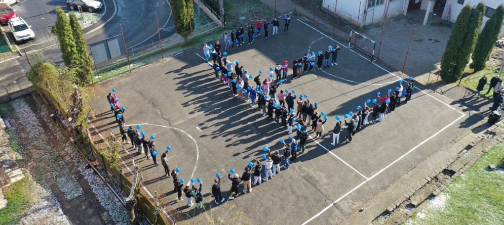 Liceul Tehnologic de Transporturi Auto Baia Sprie a marcat Ziua Europei printr-un flashmob inedit