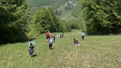 Mișcare și ecologizare: Maramureșenii sunt invitați să ia parte la o acțiune pentru sănătate și mediu