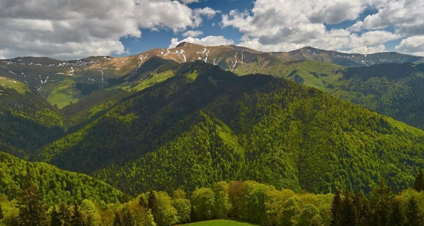 Șanse noi pentru comunitățile forestiere