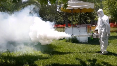 În Baia Mare va începe dezinsecția terestră împotriva țânțarilor și căpușelor