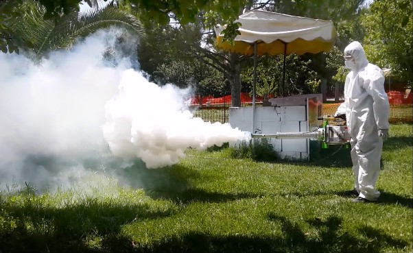 În Baia Mare va începe dezinsecția terestră împotriva țânțarilor și căpușelor