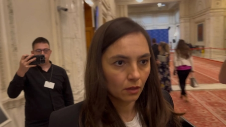 Partidul Oamenilor Tineri se scufundă