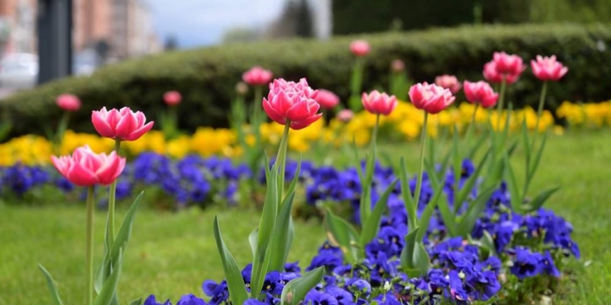 Prognoza meteo pentru Maramureș – Vineri, 2 mai 2025