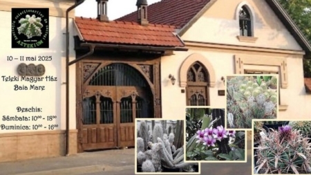 Expoziție de cactuși în Baia Mare