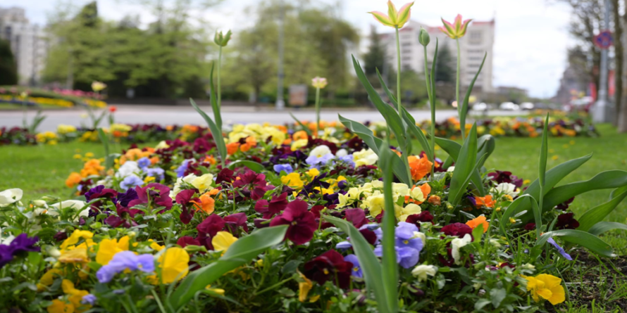 Vremea în Maramureș – Joi, 1 Mai 2025