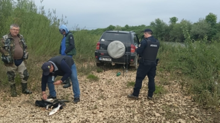 Amenzi pe malul apei