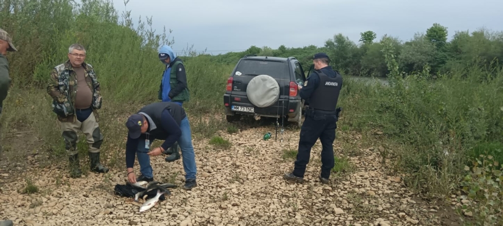 Amenzi pe malul apei