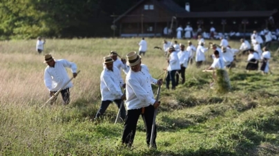 Ca pe vremuri: Se va face clacă de coasă în Groși, pe Valea Mare