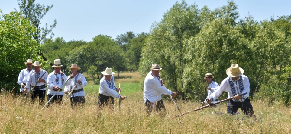 Tradiția merge mai departe: În Sălnița se organizează ediția a II-a a evenimentului „Clacă de coasă”