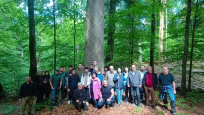 Premieră națională la Băiuț: Se pregătește omologarea primului traseu de terapie forestieră cu rol curativ și preventiv