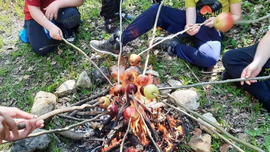 Copiii sunt invitați să se înscrie la Tabăra de vară „În siguranță în natură”
