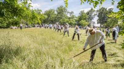 Se organizează clacă de coasă la Cărbunari