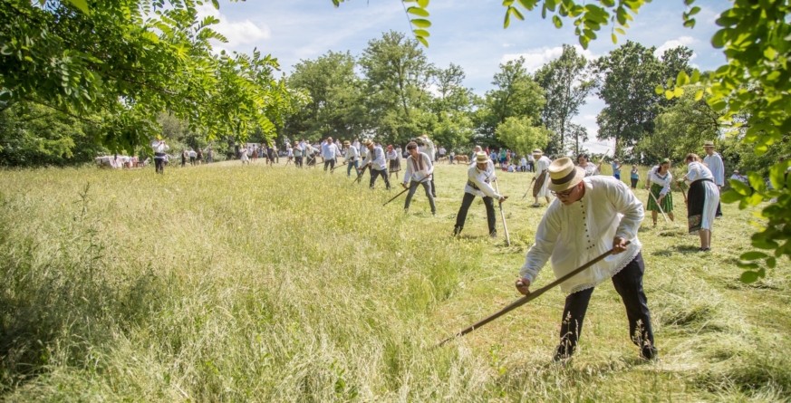 Se organizează clacă de coasă la Cărbunari