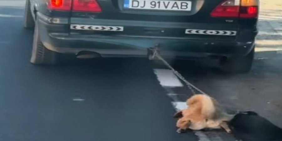 Oameni cu sufletul negru – Teroare pe asfalt în Dolj