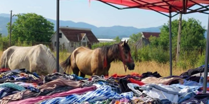 Cumpărături pe copite la Bixad