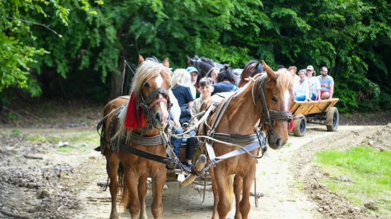 Maramureșul, promovat în proiectul ”România atractivă”