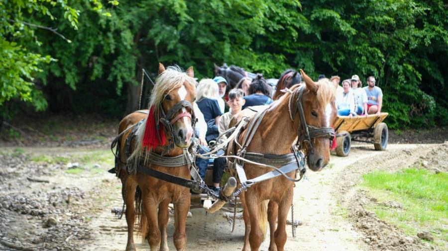 Maramureșul, promovat în proiectul ”România atractivă”