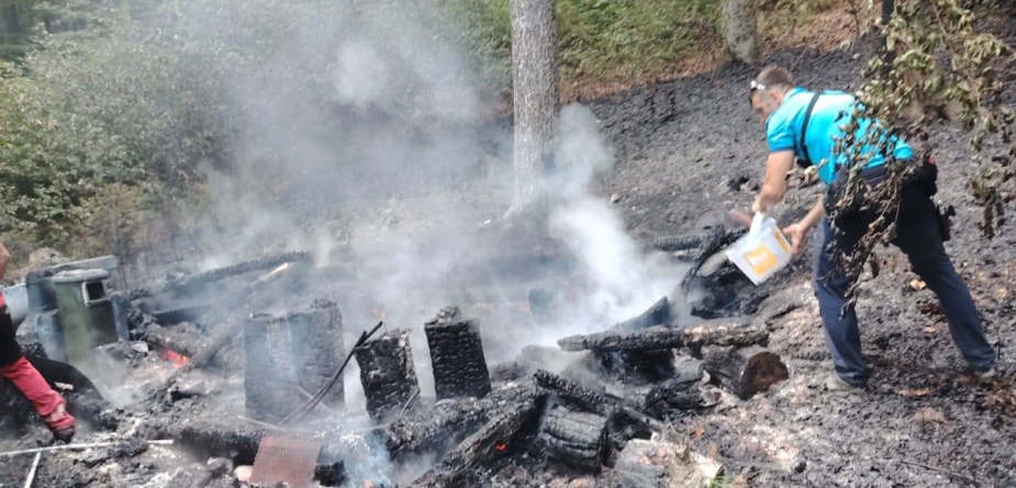 Sprijin al jandarmilor pentru stingerea unui incendiu în Munții Gutâi