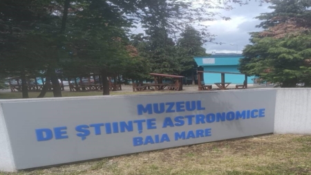 Ce preț are umbra unui copac crescut de decenii?