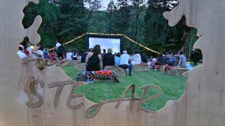 Târgu Lăpuș: Seară de film pentru adolescenți și adulți organizată de Asociația Culturală Sub Stejar