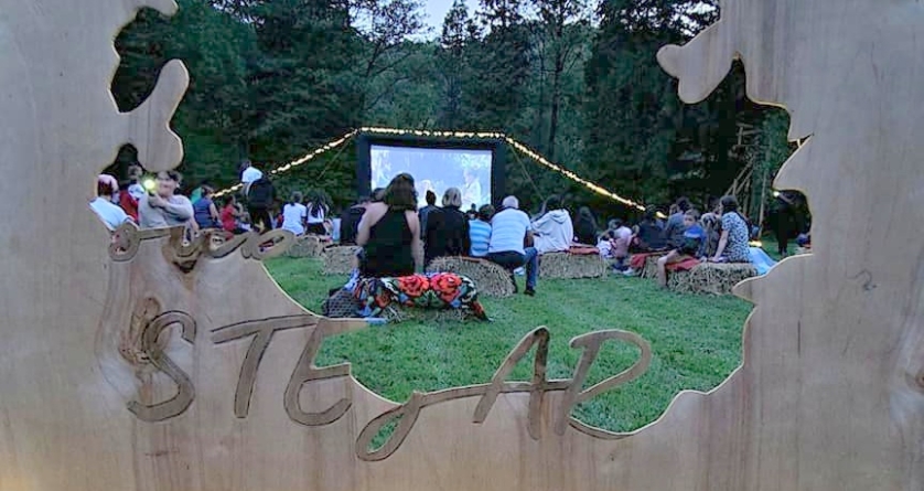 Târgu Lăpuș: Seară de film pentru adolescenți și adulți organizată de Asociația Culturală Sub Stejar