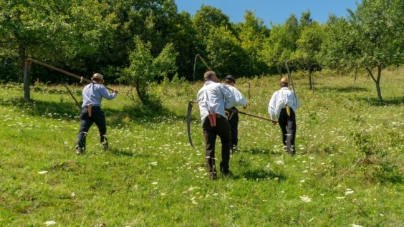 Se organizează Clacă de coasă pe Valea Izei