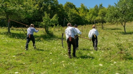 Se organizează Clacă de coasă pe Valea Izei